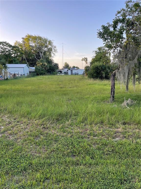 A grassy, vacant lot features scattered trees and a small structure in the distance — CENTRAL AVENUE, COLEMAN, FL