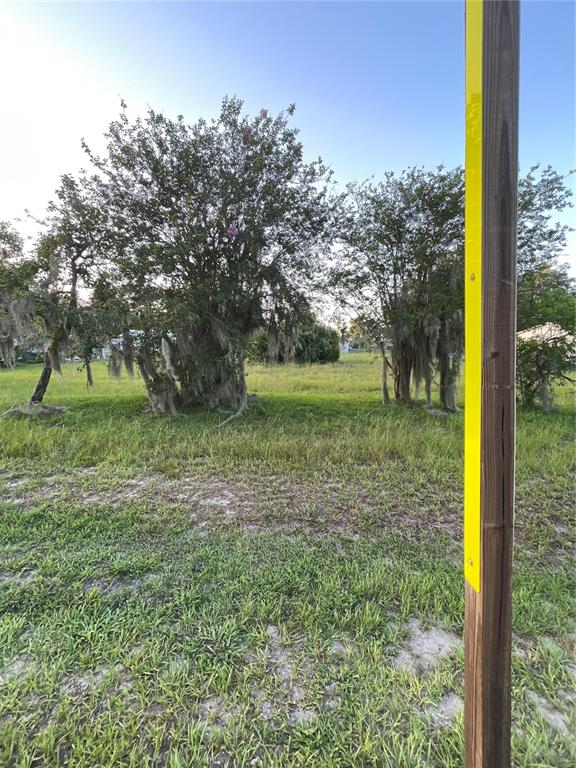 A grassy, vacant lot features scattered trees and a white marker post under a clear sky — CENTRAL AVENUE, COLEMAN, FL