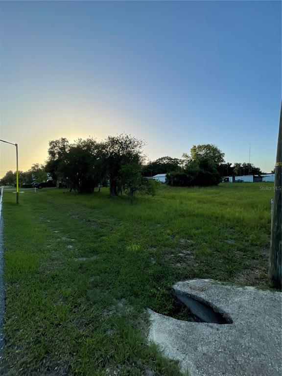 A grassy, tree-filled vacant lot sits behind a paved road with a yellow speed bump — CENTRAL AVENUE, COLEMAN, FL