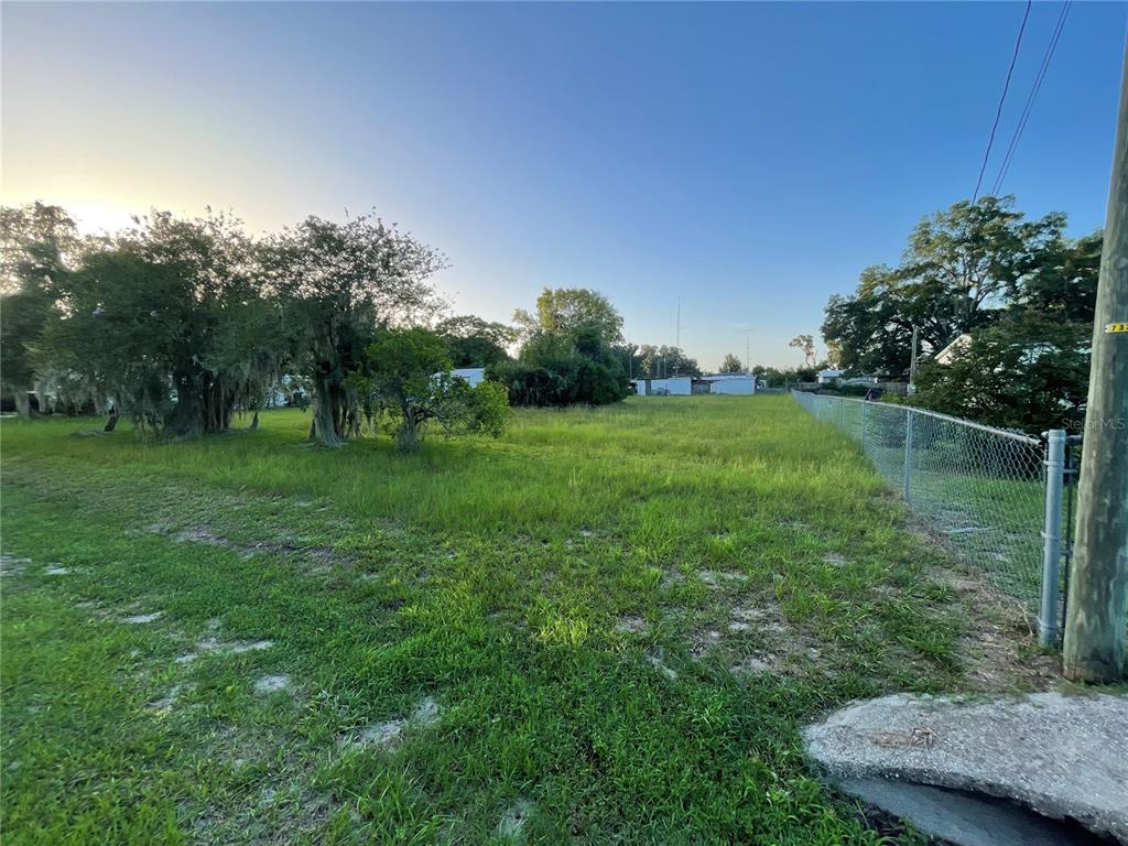 A grassy, vacant lot features several trees and a chain-link fence along the right side — CENTRAL AVENUE, COLEMAN, FL