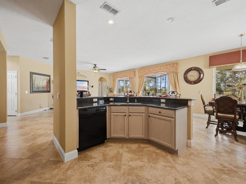 209 N HAMPTON DR, DAVENPORT, FL — photo 5 of 30