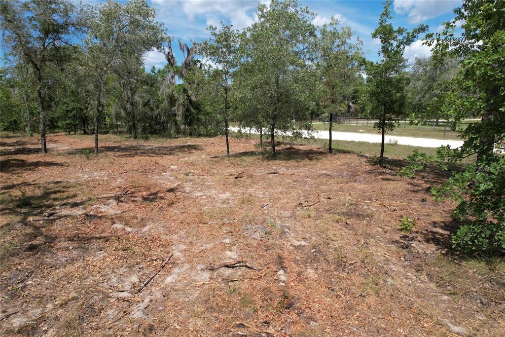 A wooded, sandy lot with scattered trees and a gravel road in the background — 53RD LANE, MORRISTON, FL