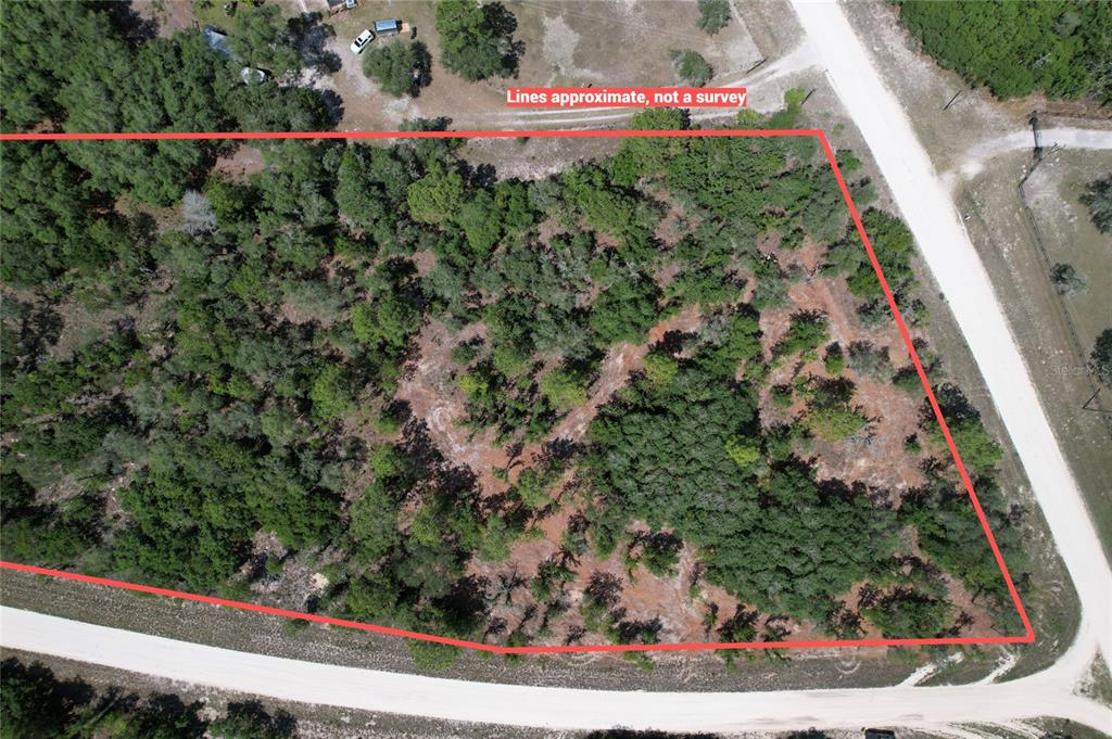 An aerial view shows a wooded, undeveloped rectangular lot bordered by two dirt roads — 53RD LANE, MORRISTON, FL