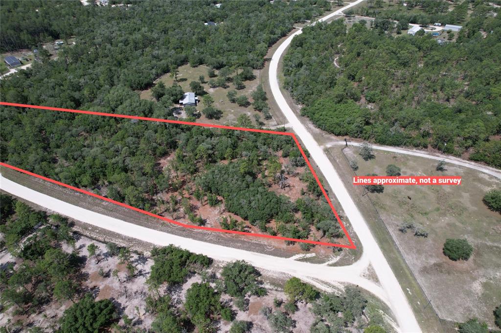 An aerial view shows a triangular plot of land outlined in red near a road — 53RD LANE, MORRISTON, FL