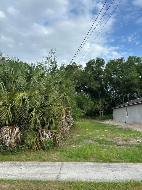 PALMETTO STREET