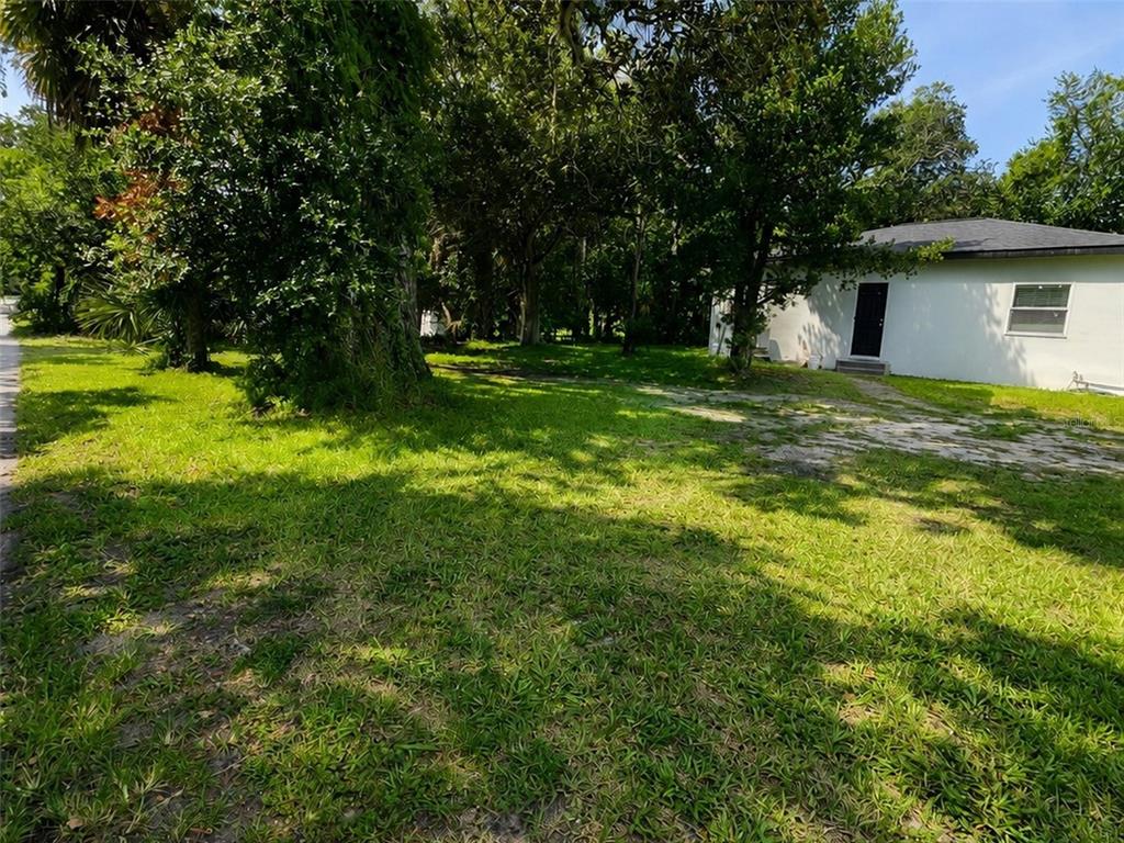 547 LIVE OAK AVENUE