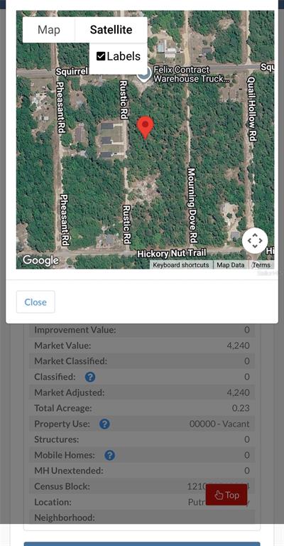 This is a satellite map view of a vacant, wooded residential lot — 408 RUSTIC ROAD, SATSUMA, FL