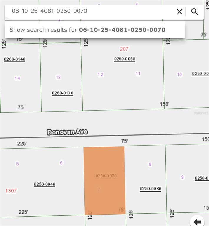 This is a map showing a highlighted parcel of land and its surrounding property lines — 408 RUSTIC ROAD, SATSUMA, FL