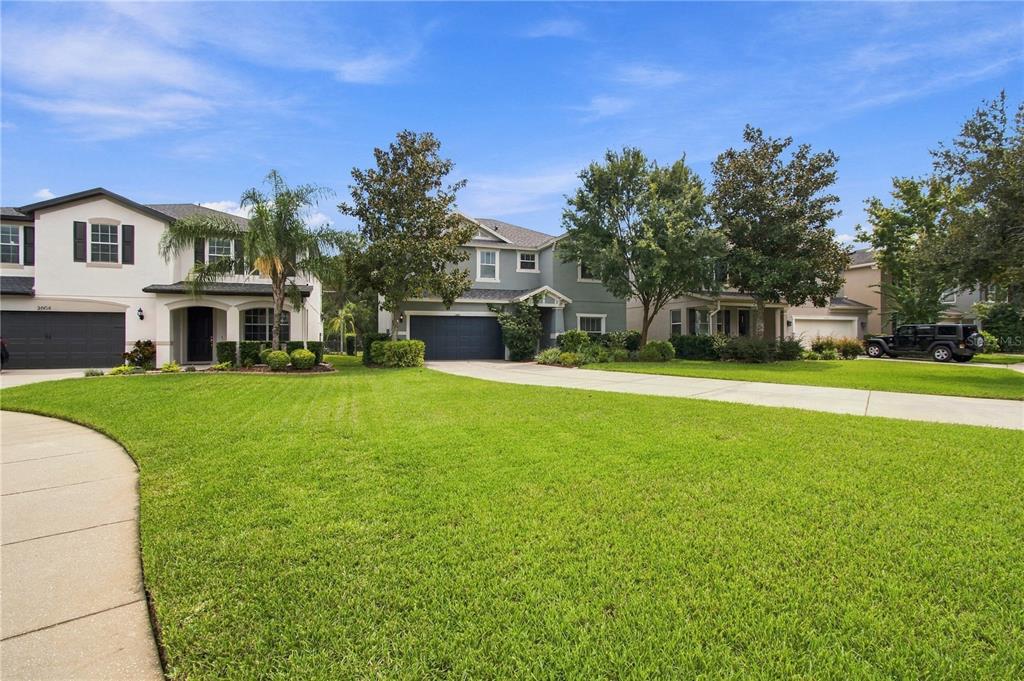 3161 WINGLEWOOD CIRCLE, LUTZ, FL — photo 3 of 30