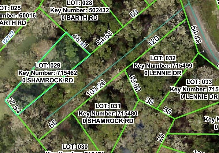SHAMROCK ROAD