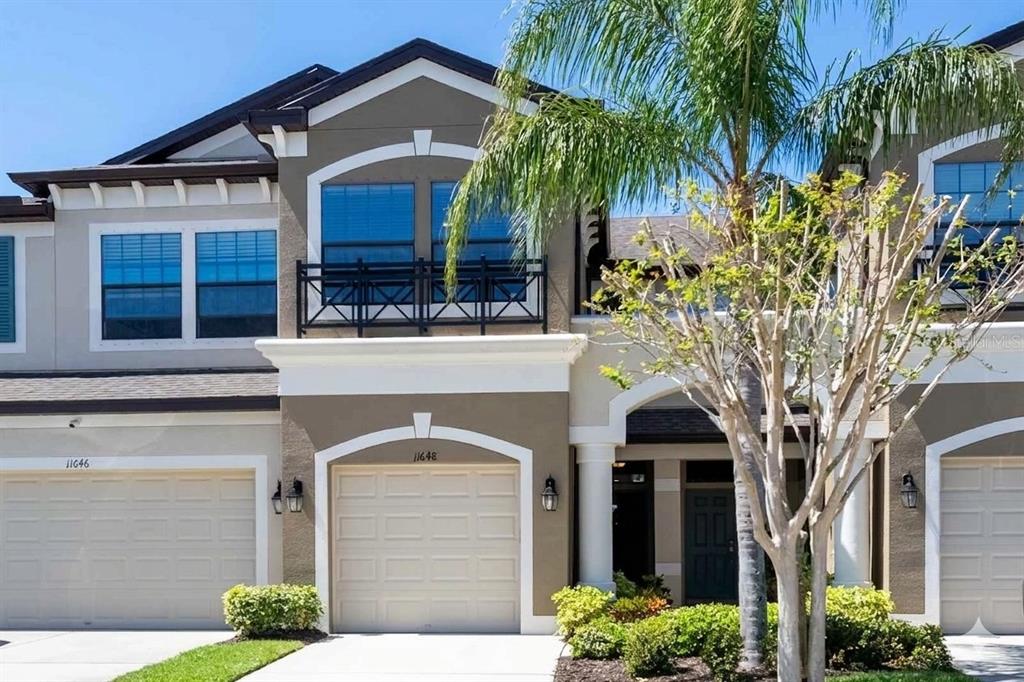 11648 CROWNED SPARROW LANE