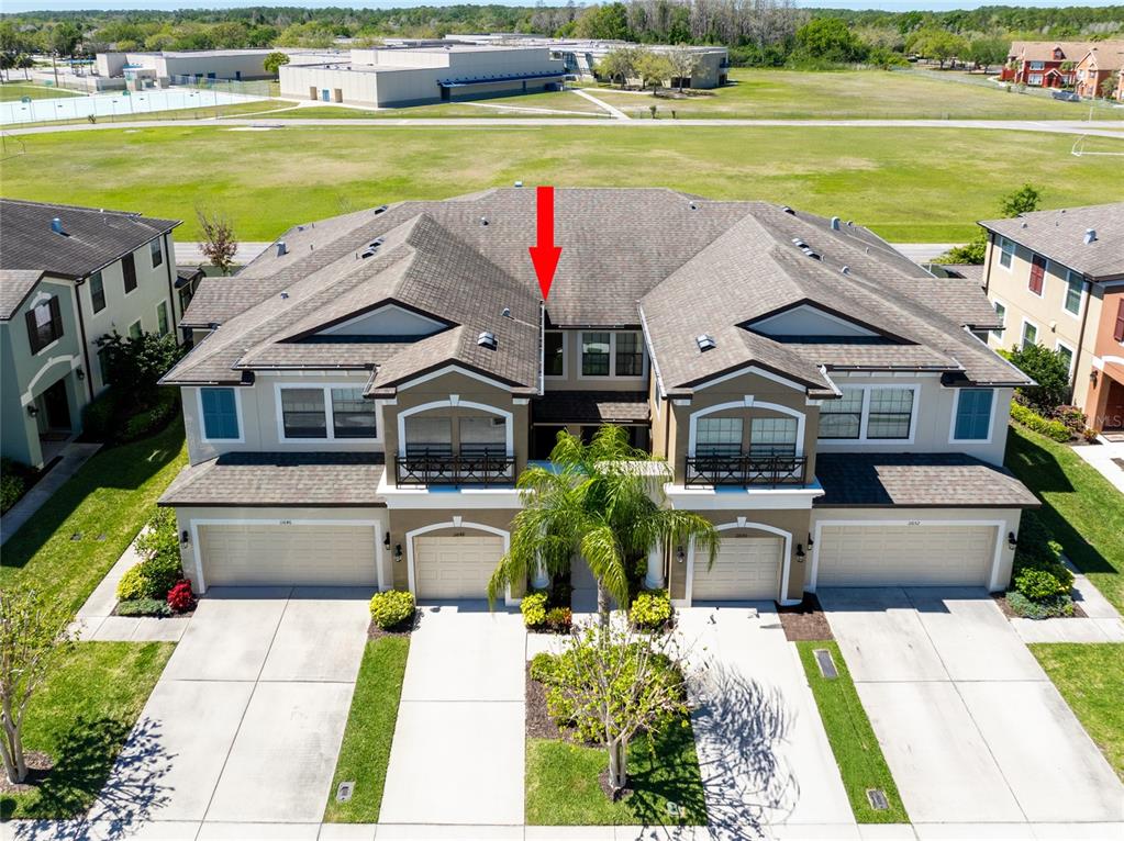 11648 CROWNED SPARROW LANE, TAMPA, FL — photo 2 of 30