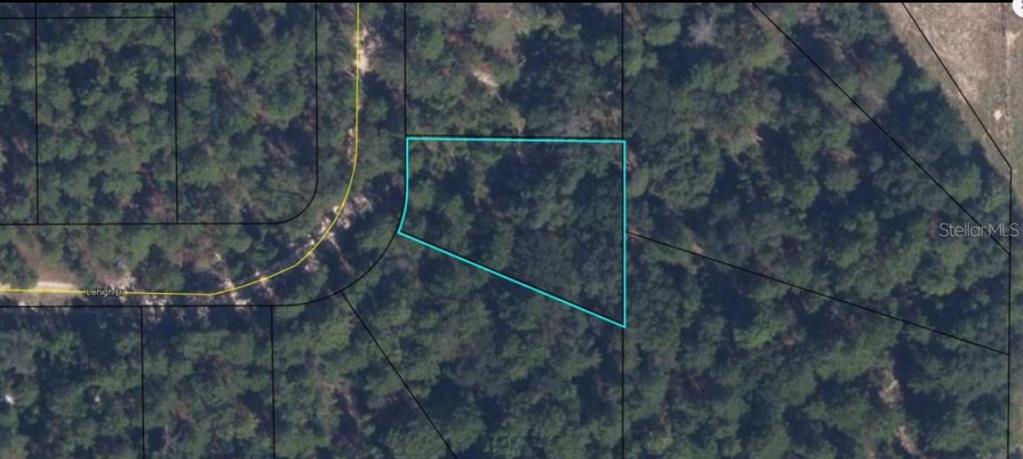 An aerial map view shows a wooded, irregularly shaped parcel of land outlined in blue — 7231 LEHIGH DRIVE, KEYSTONE HEIGHTS, FL