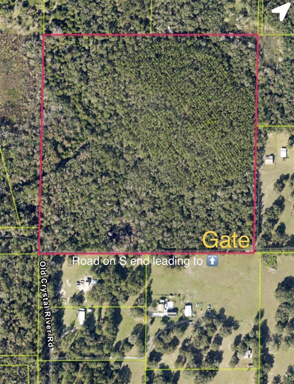 An aerial map shows a rectangular wooded lot with a gate on the south side — OLD CRYSTAL RIVER ROAD, BROOKSVILLE, FL