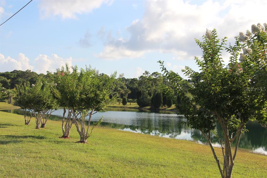 3472 COBIA DRIVE, HERNANDO BEACH, FL — photo 5 of 18