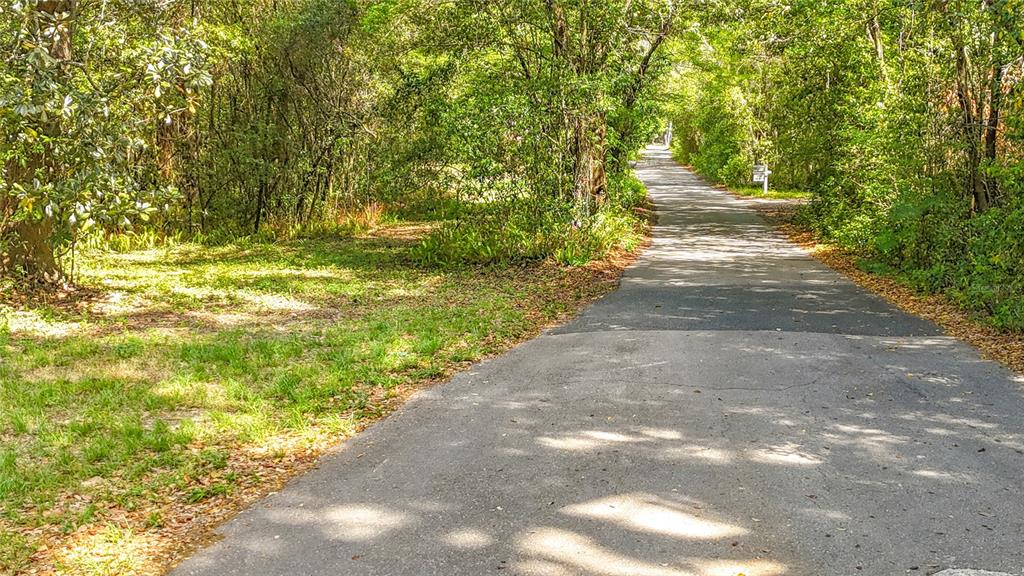 A paved road winds through a wooded area with trees lining both sides — Lot 002 NW 37TH DRIVE, GAINESVILLE, FL