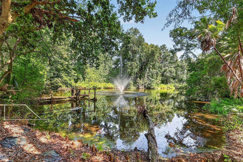 A fountain sprays water into a pond surrounded by dense trees and a wooden dock — 22740 COUNTY ROAD 44A, EUSTIS, FL