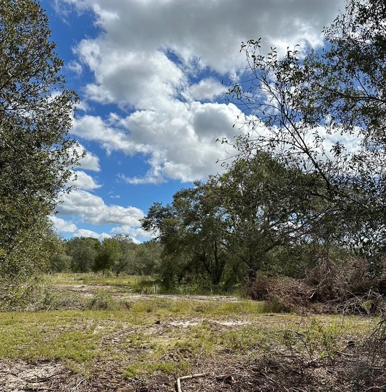 A grassy, partially cleared lot with scattered trees under a bright blue sky with clouds — SE TOMLIN #2 DRIVE, ARCADIA, FL