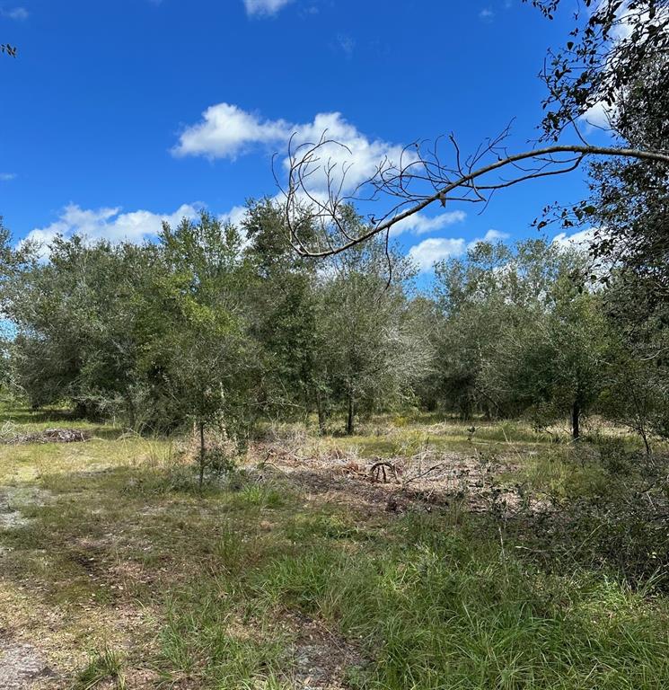 A grassy, partially cleared lot features scattered trees under a bright blue sky — SE TOMLIN #2 DRIVE, ARCADIA, FL
