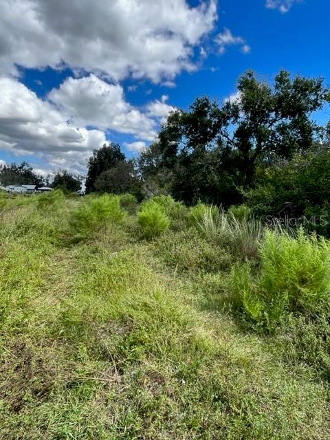 A grassy, overgrown lot features scattered shrubs and mature trees under a blue, cloudy sky — SE TOMLIN #2 DRIVE, ARCADIA, FL