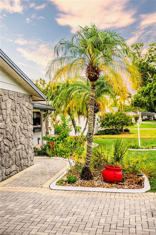 A stone-walled house exterior features a brick paver walkway and a palm tree in landscaping — 898 CORVETTE DRIVE, LARGO, FL