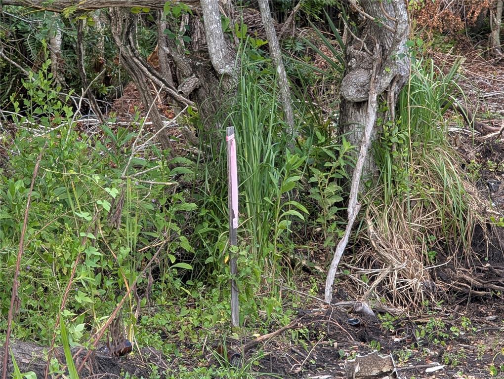 A wooden survey stake with pink flagging tape stands in a wooded, overgrown area — 18847 JEFFERSON AVENUE, ORLANDO, FL