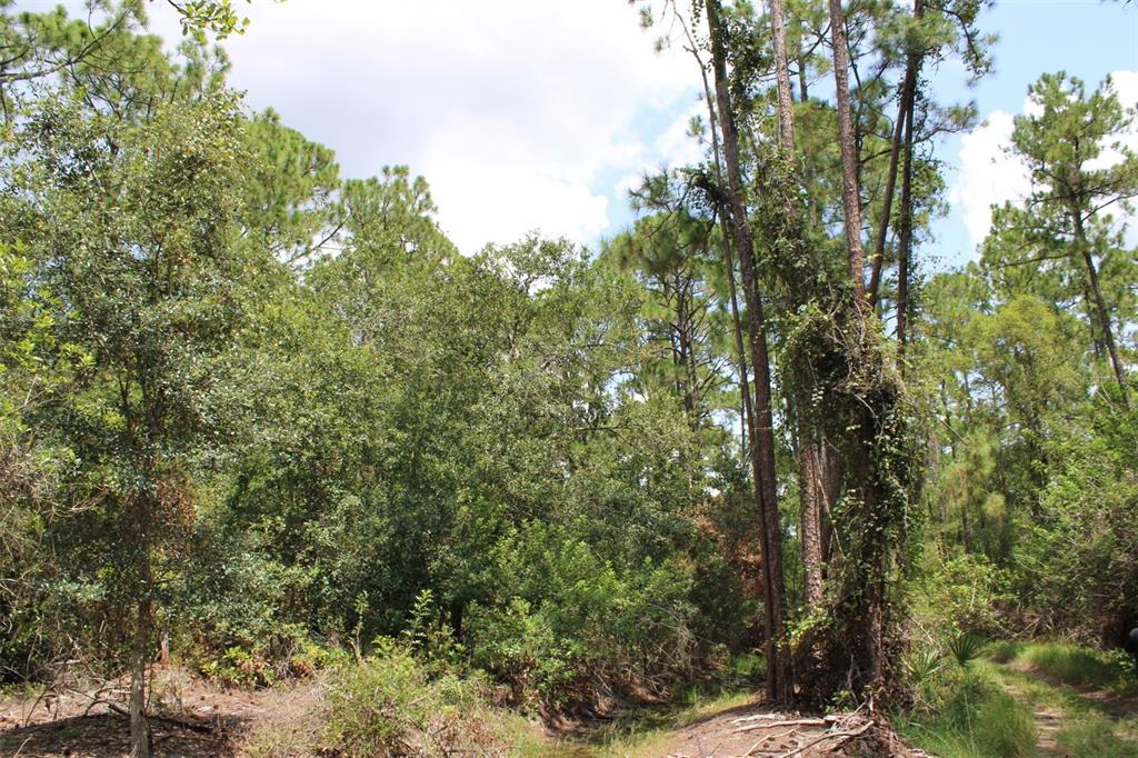 1217 IRIS AVENUE, SEBRING, FL — photo 3 of 5