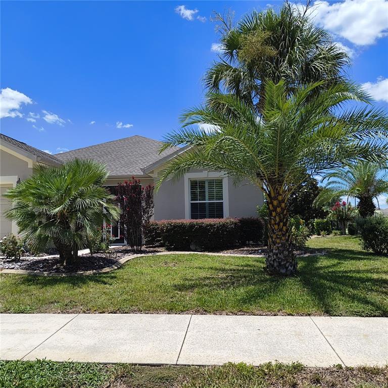 A single-story house with a tan exterior, palm trees, and a landscaped front yard — 9508 SW 66TH LOOP, OCALA, FL