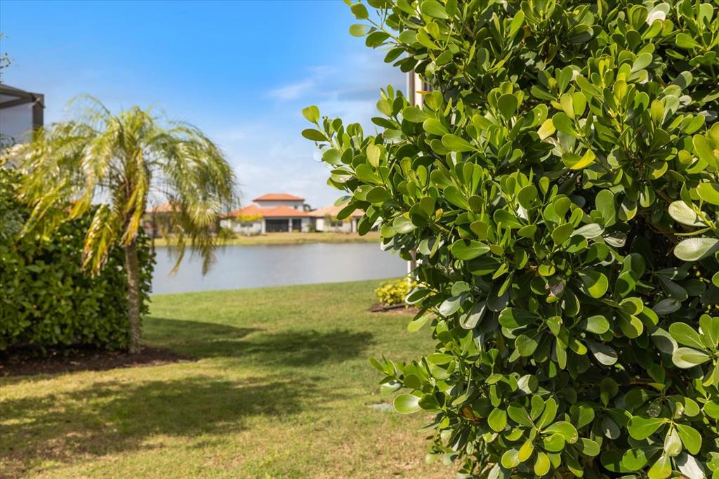 A view of a grassy lawn, a small pond, and houses beyond a large bush — 520 MARAVIYA BOULEVARD, NOKOMIS, FL