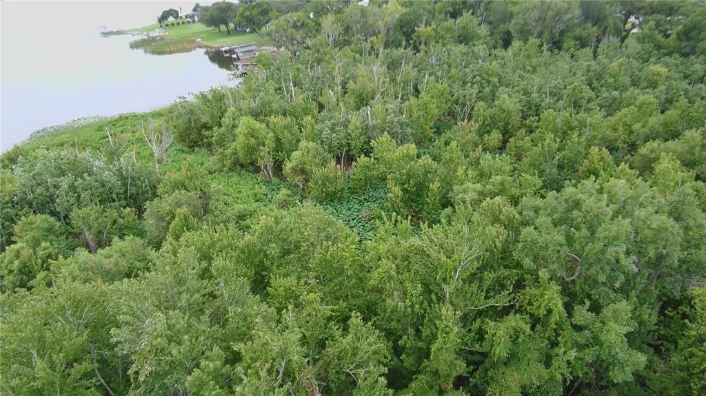An aerial view shows a dense, wooded lot bordering a large lake — 0 ALFRED DRIVE E, LAKE ALFRED, FL