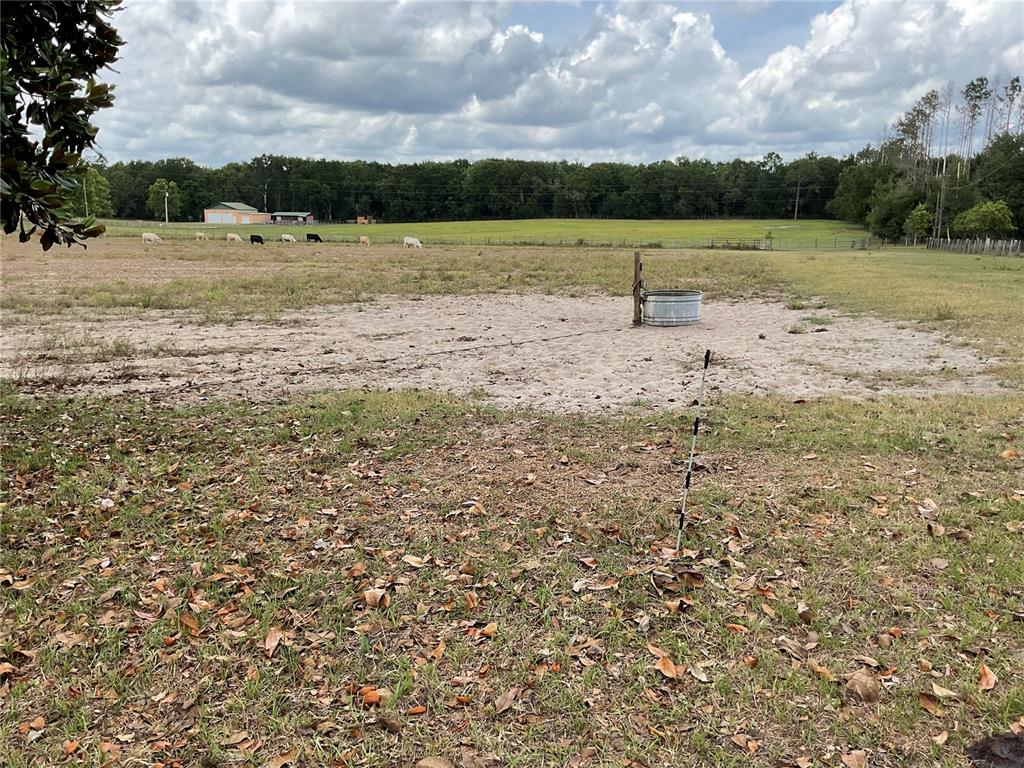 A fenced pasture features a metal water trough, sandy ground, and several grazing cattle — NE 46TH LANE, BRONSON, FL