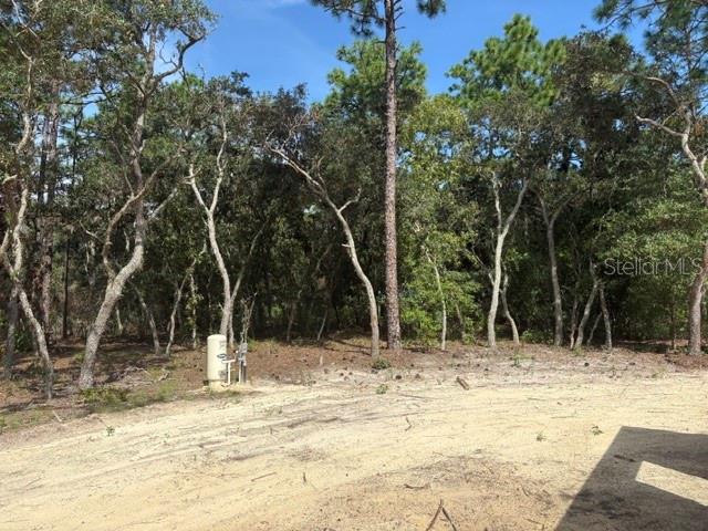 8454 SW 138TH TERRACE, DUNNELLON, FL — photo 5 of 11