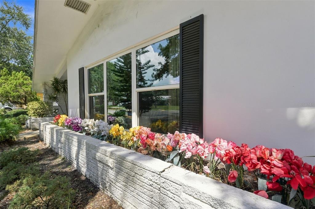 2336 HARN BOULEVARD, CLEARWATER, FL — photo 5 of 30