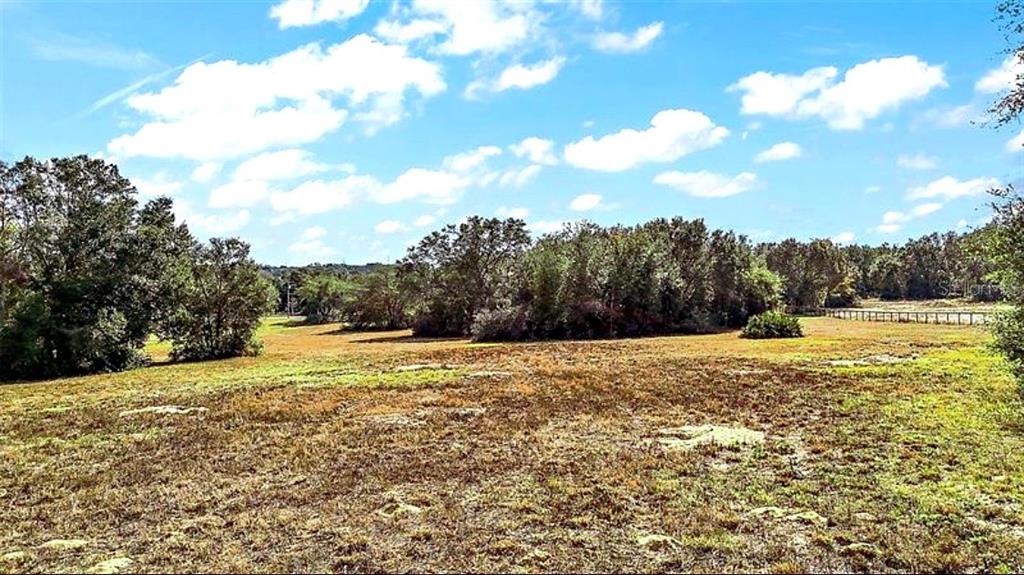 A wide, grassy field is bordered by a line of trees under a blue sky — SWEETWOOD LANE, CLERMONT, FL