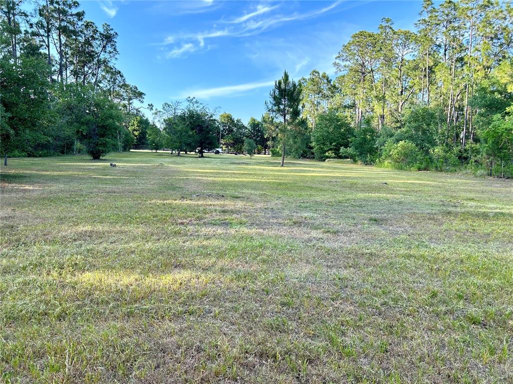A large, flat, grassy lot is surrounded by mature trees under a blue sky — LIMPKIN LANE, FROSTPROOF, FL