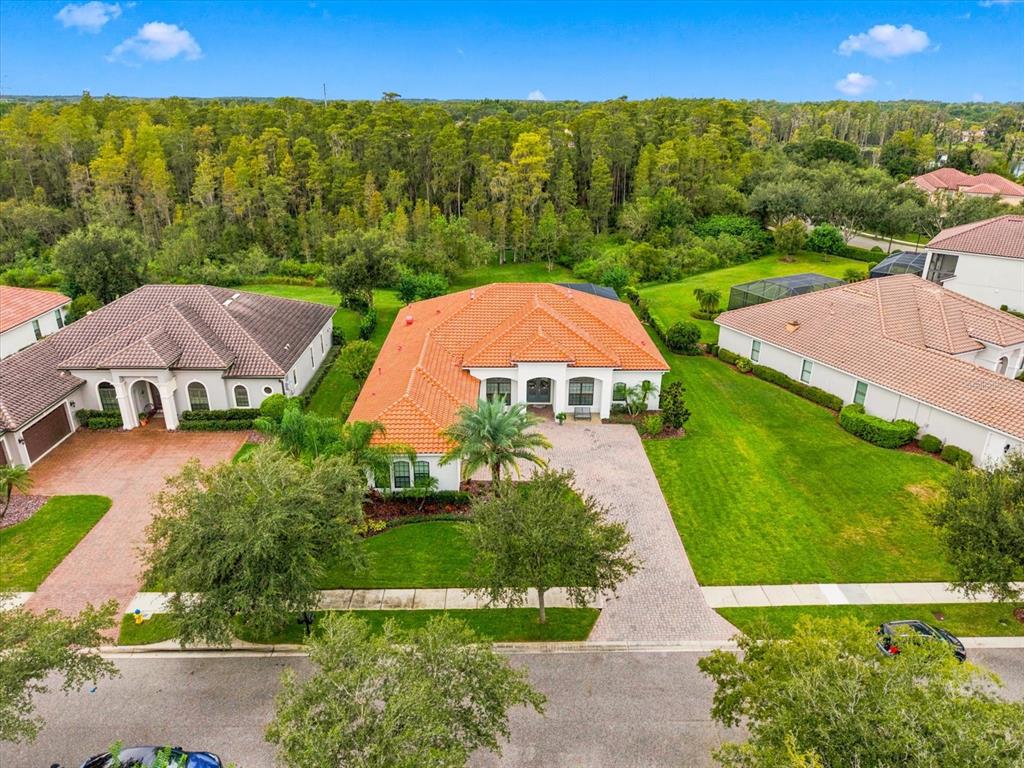 17314 SAN ARINGO PLACE, LUTZ, FL — photo 4 of 80