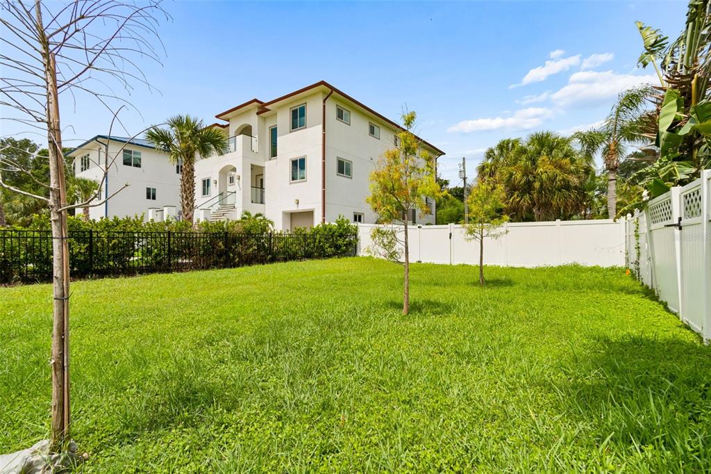 A grassy backyard features two young trees, a white vinyl fence, and a multi-story house — 1964 CEDAR DRIVE, DUNEDIN, FL
