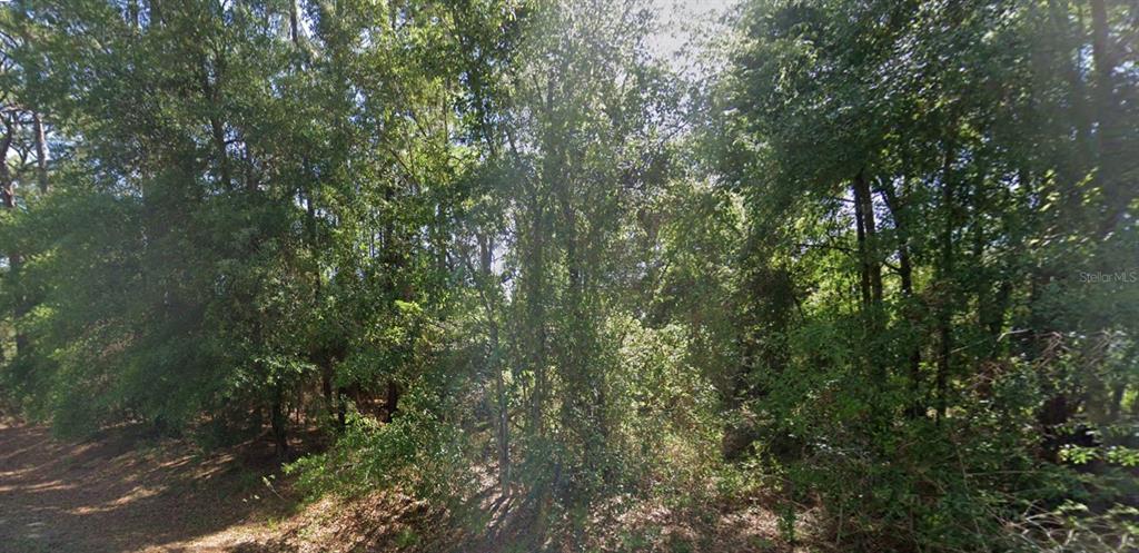 lot 84 SE 99TH AVENUE, BELLEVIEW, FL — photo 2 of 4