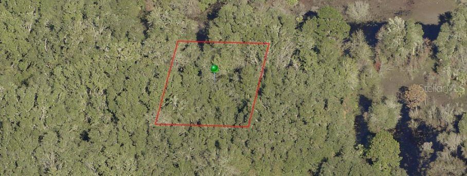 8150 W Elaine STREET, CRYSTAL RIVER, FL — photo 4 of 6