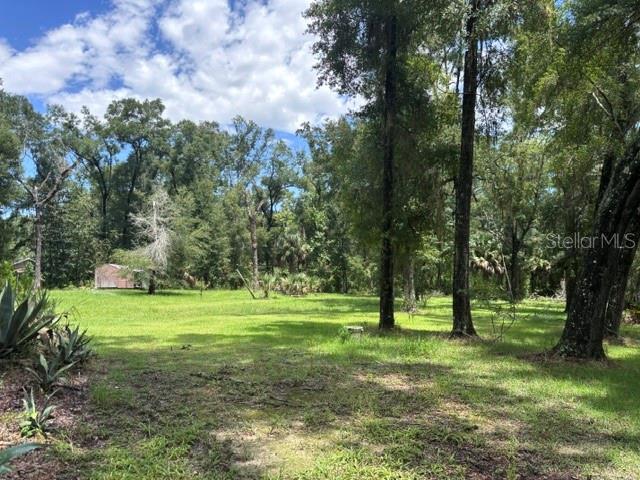 A grassy, wooded lot features a small shed in the distance under a cloudy sky — 7455 NW 95TH STREET, CHIEFLAND, FL
