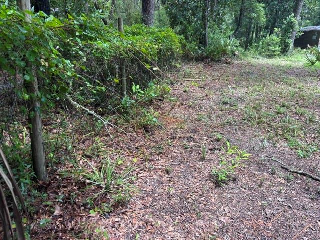 A wooded lot features a wire fence covered in vines and a small shed nearby — 7455 NW 95TH STREET, CHIEFLAND, FL