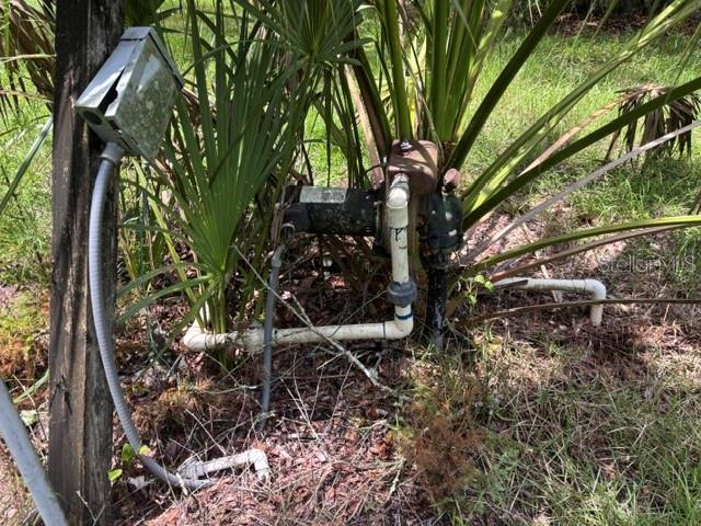 An outdoor water pump and electrical box are situated among palm fronds and vegetation — 7455 NW 95TH STREET, CHIEFLAND, FL