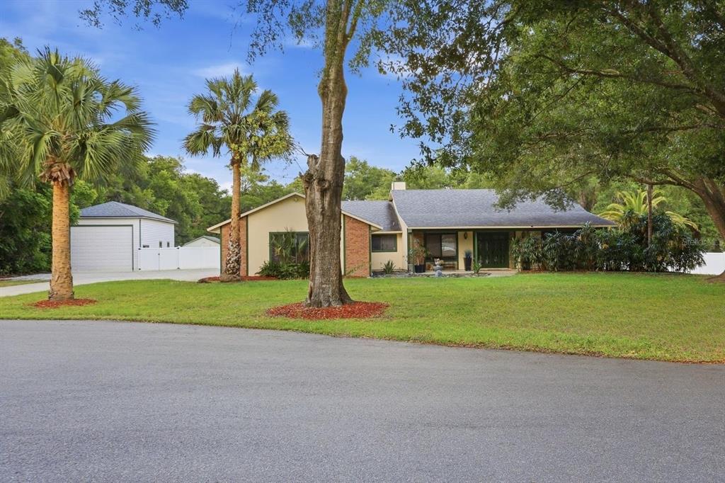 A single-story house with a brick and stucco exterior, a palm tree, and a lawn — 3501 HILL STREAM AVENUE, APOPKA, FL