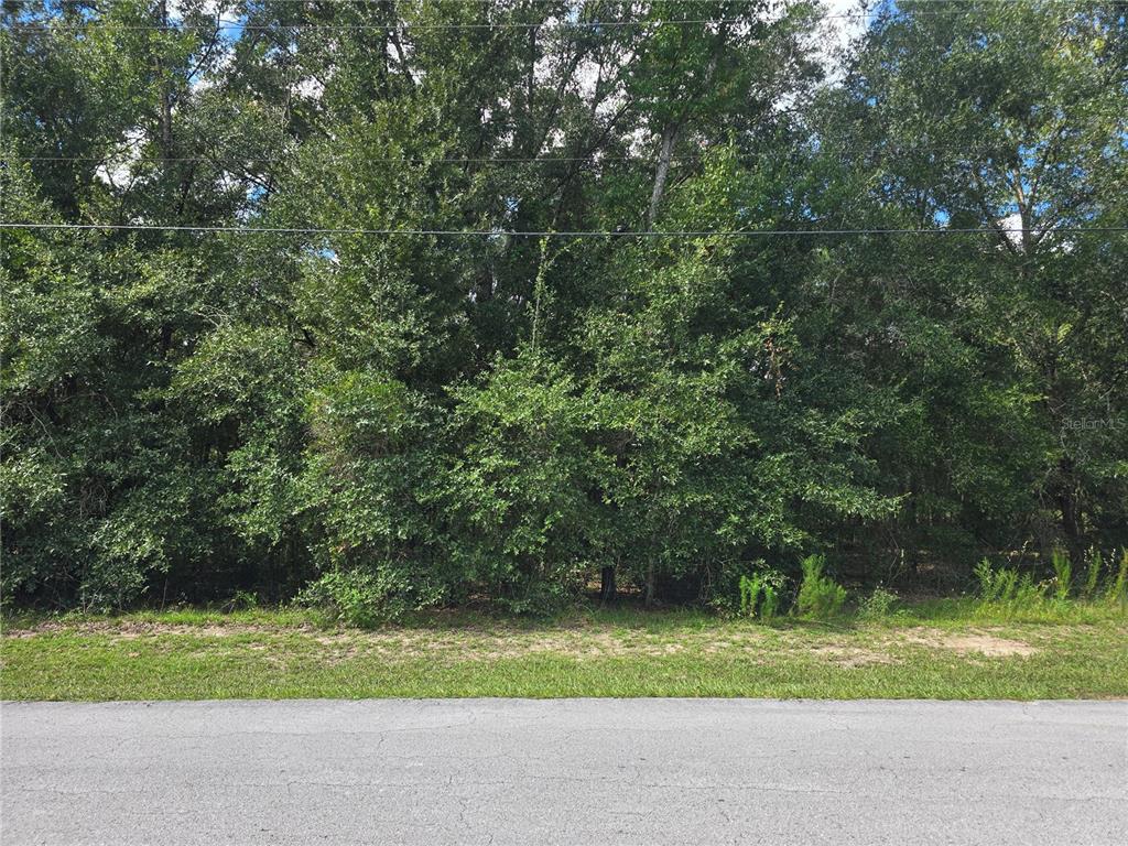 366 S SAVARY AVENUE, INVERNESS, FL — photo 2 of 12