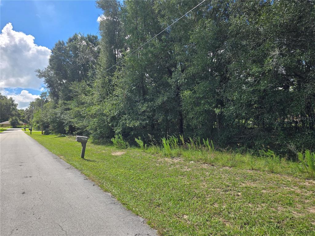 366 S SAVARY AVENUE, INVERNESS, FL — photo 3 of 12
