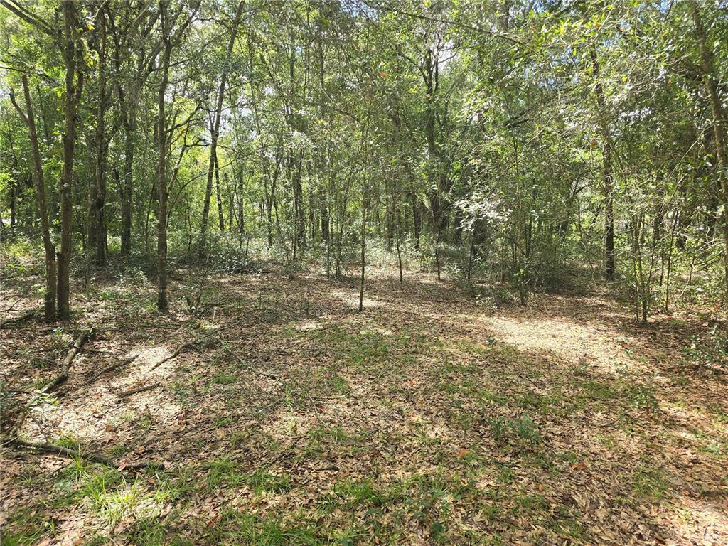 366 S SAVARY AVENUE, INVERNESS, FL — photo 4 of 12