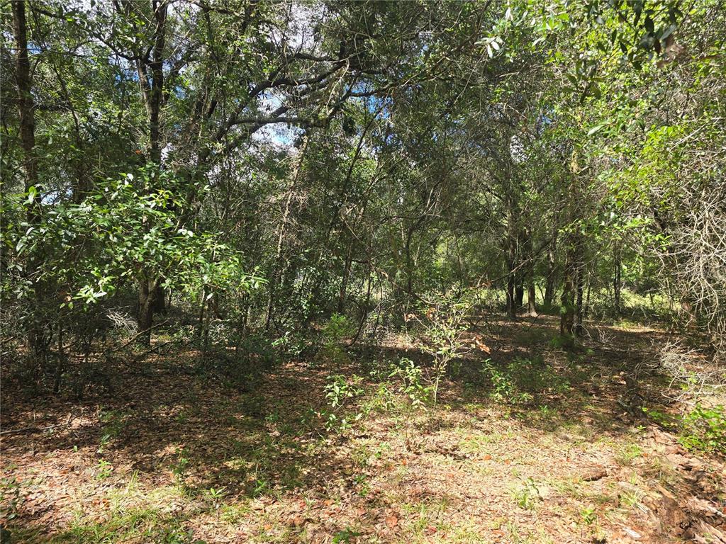 366 S SAVARY AVENUE, INVERNESS, FL — photo 5 of 12