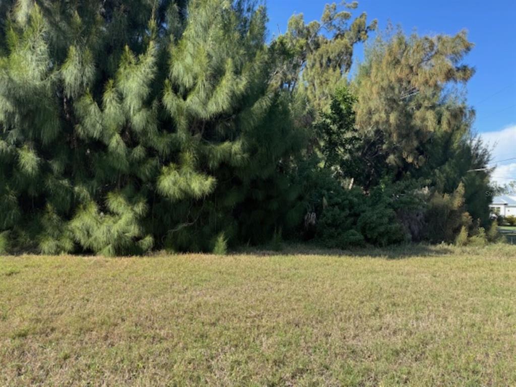 A grassy, vacant lot is bordered by a dense line of tall, mature trees — 75 GREEN DOLPHIN DRIVE N, PLACIDA, FL