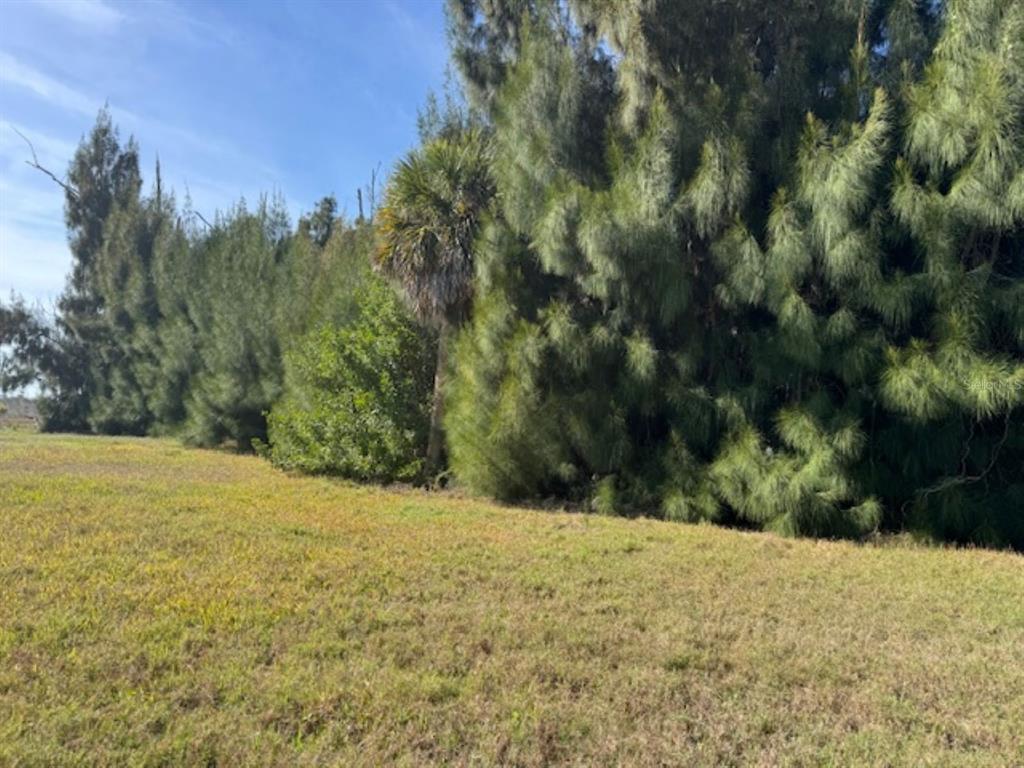 A grassy field sits in front of a dense line of tall trees and palms — 75 GREEN DOLPHIN DRIVE N, PLACIDA, FL