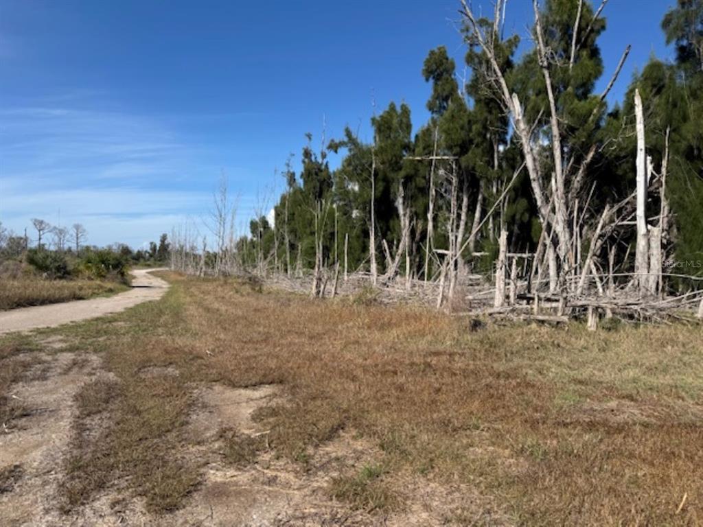 A dirt path winds through a grassy field alongside a line of tall, thin trees — 75 GREEN DOLPHIN DRIVE N, PLACIDA, FL